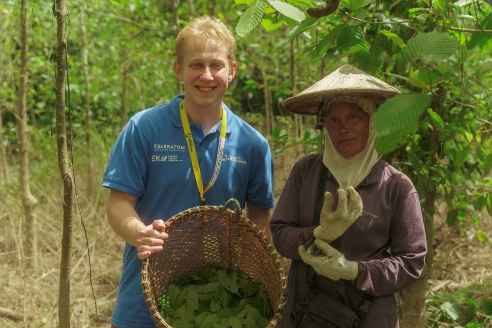 Add kratom to cart